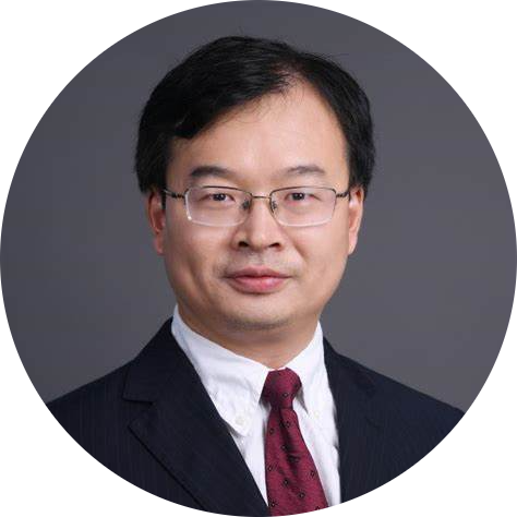 Prof. Dr. Wenwu Zhao
